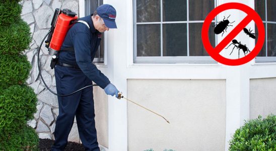 Sığacık Böcek ve Haşere İlaçlama böcek ilaçlama ve haşere kontrolü — ilaclama-tr.com